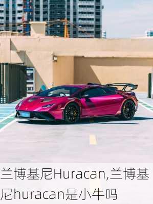 兰博基尼Huracan,兰博基尼huracan是小牛吗