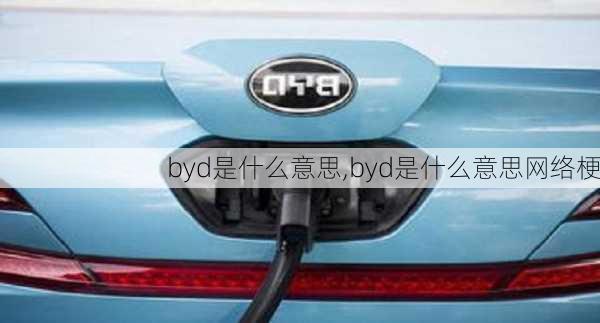 byd是什么意思,byd是什么意思网络梗