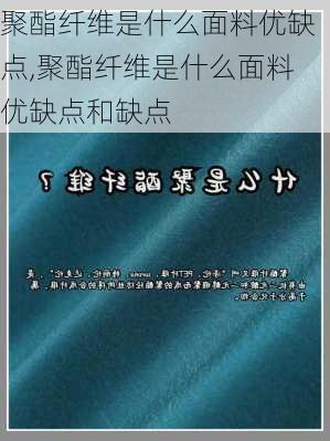 聚酯纤维是什么面料优缺点,聚酯纤维是什么面料优缺点和缺点