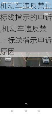 机动车违反禁止标线指示的申诉,机动车违反禁止标线指示申诉原因