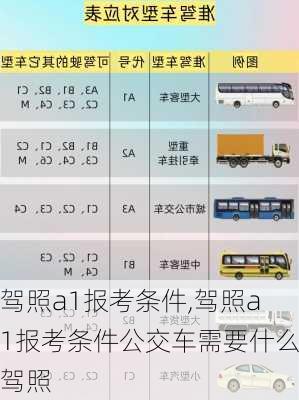 驾照a1报考条件,驾照a1报考条件公交车需要什么驾照