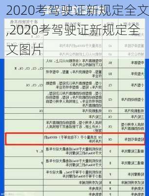 2020考驾驶证新规定全文,2020考驾驶证新规定全文图片